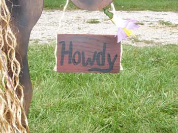 The Howdy Donkey