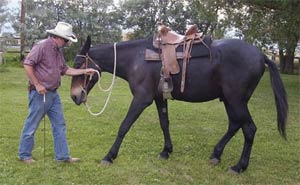 TIM IS NOW asking Diamond Creek Grover to move his outside shoulder by backing up and creating a better stop