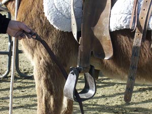 Take the loose end of your lariat through the stirrup