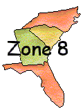 Zone 8