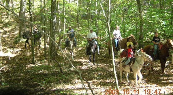 On the Trail