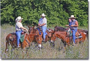 "Trail Talk" Photo by Pat Gordon