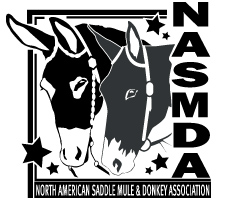 NASMA Logo