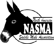 NASMA Logo